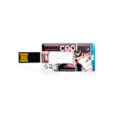 Memoria USB 8GB IMPORT AP1055 FORMA DE TARJETA